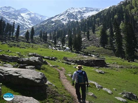 Tulian Lake Trek Pahalgam S Stunning Secret Hike