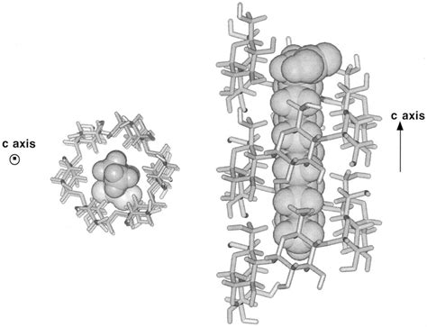 Molecular Modelling Representation Of Amylose Fatty Acid Complexes