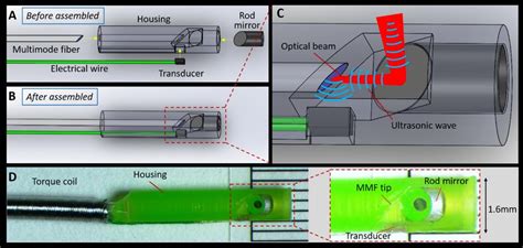 New Imaging Technology Allows Scientists To Peer Even Deeper Into Fatty