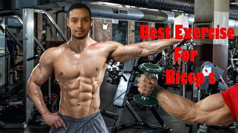 What Is The Best Bicep Exercise Online Degrees