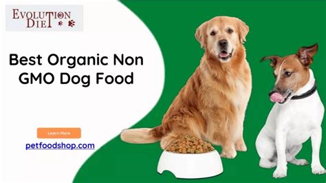 Ppt Best Organic Non Gmo Dog Food Evolution Diet Pet Food