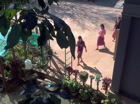 Myanmar Diary Part 17 Naked Rabbit World Power Foundation