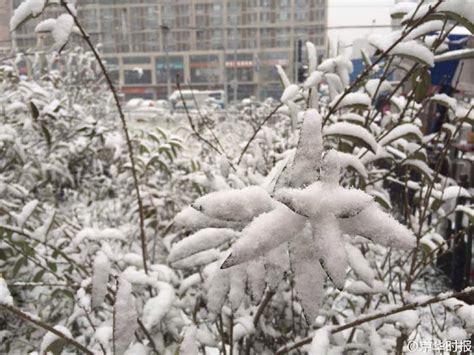 北京发布暴雪蓝色预警信号 连续降雪4天 国际在线