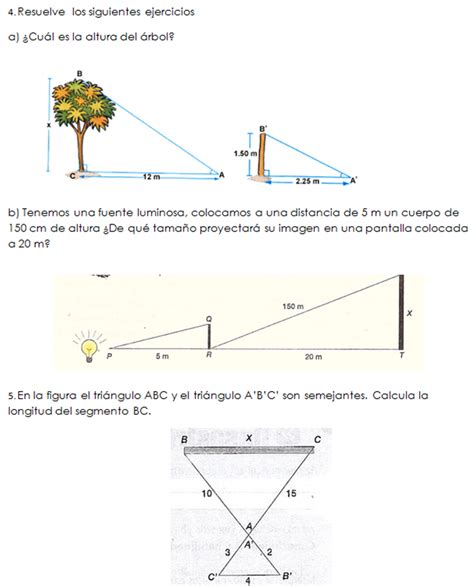 Newton Matemáticas: Ejercicios de Semejanza de Triángulos