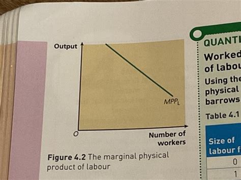 4 1 6 THE LABOUR MARKET Flashcards Quizlet