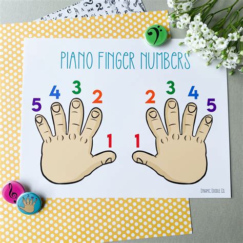 Piano Finger Numbers Poster | Number poster, Piano, Doodles