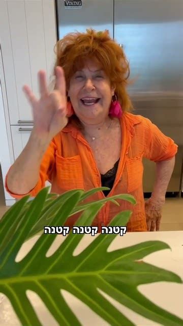 שנה טובה מציפי שביט 🍎🍯 Youtube