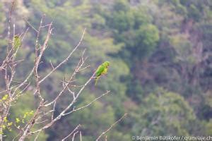 Chiapas Part I Aguacero Sima De Las Cotorras Ca On Del Sumidero And