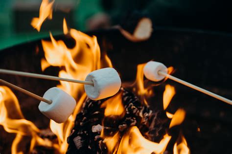 Delicious Easy Campfire Desserts Go Wander Wild