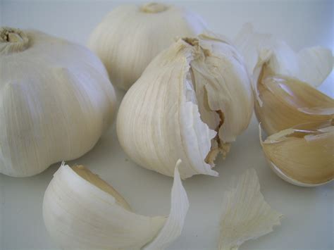 Garlic Bulbs Free Stock Photo Public Domain Pictures