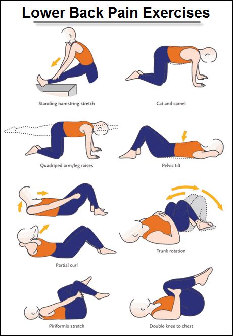 Pin On Back Pain Treatment