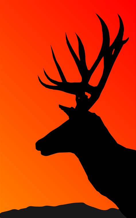 Free Deer Vector Art Download 369 Deer Icons And Graphics Pixabay