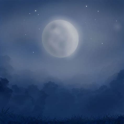 The moonlight drawing in procreate | Nighttime sky, Drawings, Digital ...