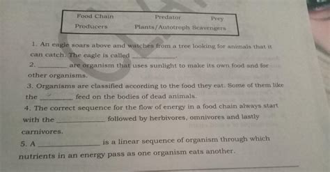 Plsss Answer My Question Plsss I Need This To Graduate Brainly Ph