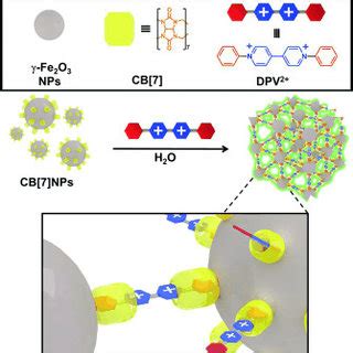 Scheme Schematic Representation Of The Supramolecular Self Assembly