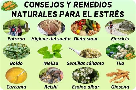 Tratamiento natural del estrés Tratamientos naturales Remedios