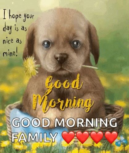 Good Morning GIF - Good Morning Puppy - Discover & Share GIFs