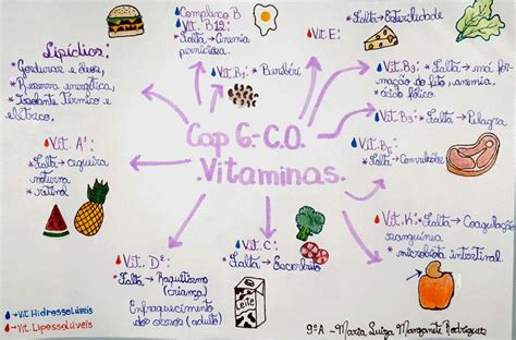 Mapa mental sobre as vitaminas suas funções como encontramos e