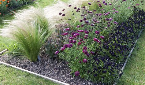 Ornamental Grasses Landscape Borders