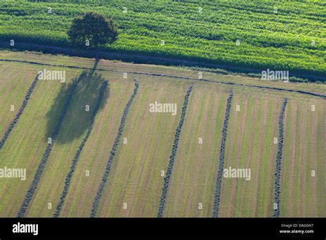 Felder Aus Der Luft Fotos Und Bildmaterial In Hoher Aufl Sung Alamy