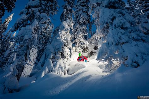 2048×1365 Big White Ski Resort Enchanted Forest Forest