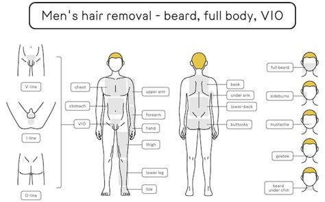 Premium Vector Men S Hair Removal Beard Whole Body Vio Area Guide