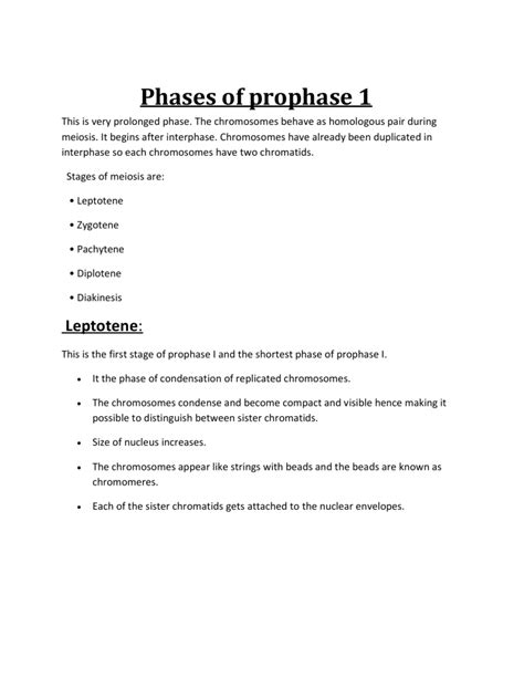 Phases of prophase 1