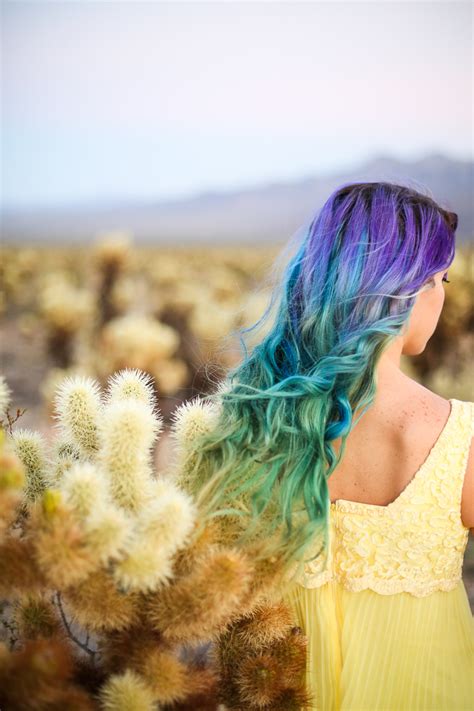 Joshua Tree Cholla Cactus Garden | Keiko Lynn