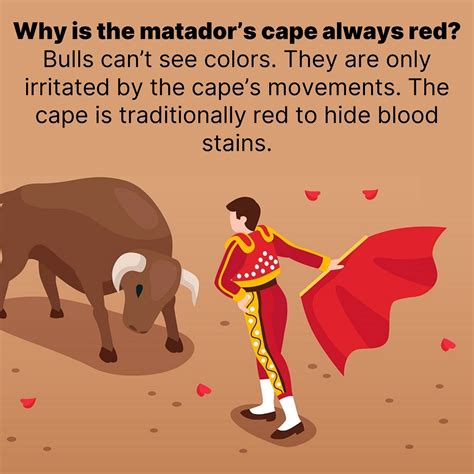 If Bulls Cant See Colors Why Is The Matadors Cape Always Red