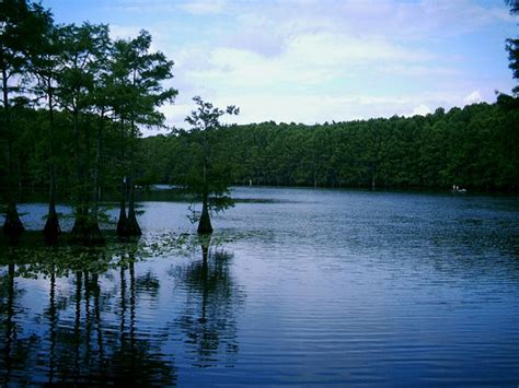 Caddo Lake State Park | Natural Atlas