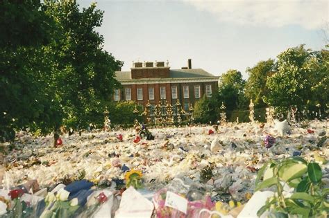 Princess Diana Funeral Flowers | Wallpaper Site