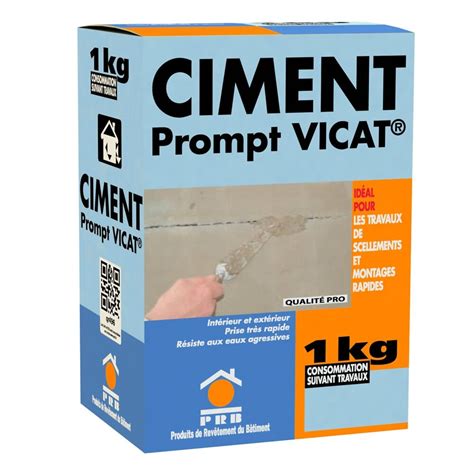 Ciment Prompt Vicat 1kg Brico Cash