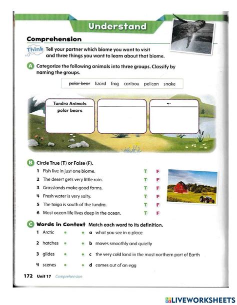 Biomes Online Worksheet For 4th Live Worksheets