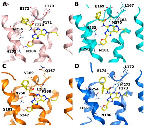 Biomolecules Free Full Text Pyrazolo Triazolo Pyrimidine Scaffold