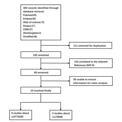 Figure E Flow Diagram Of Retrieval And Screening Processes Download