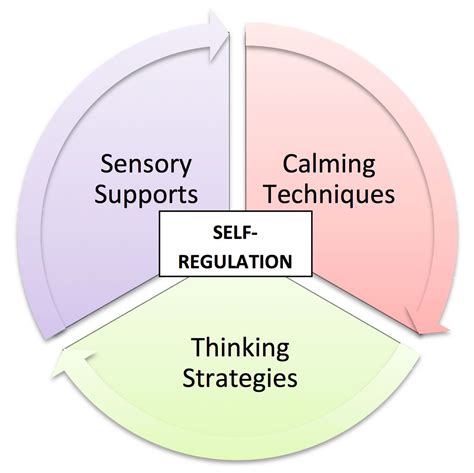 Circle Split Into 3 Sections Labeled Sensory Supports Calming