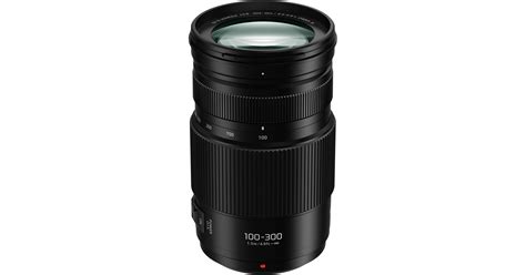 Panasonic LUMIX G Vario 100-300mm f/4-5.6 II POWER O.I.S. Lens