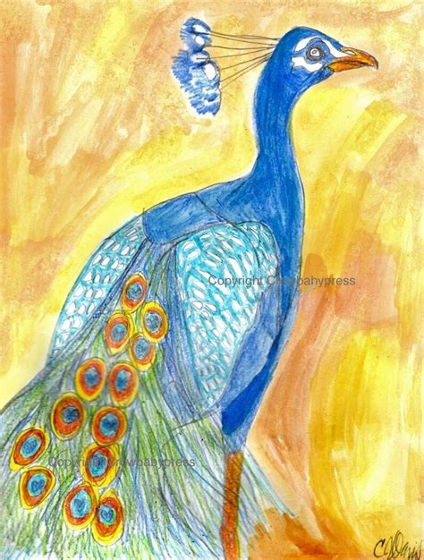 500 Best Peacock Drawing Images Inspire Your Artistic Emotions With