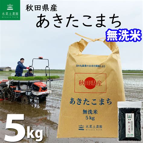 水菜土農園みなとのうえん令和4年産 あきたこまち 10kg 白米 米 お米 古代米お試し袋付き 秋田県産 農家直送 （5kg×2袋） 無