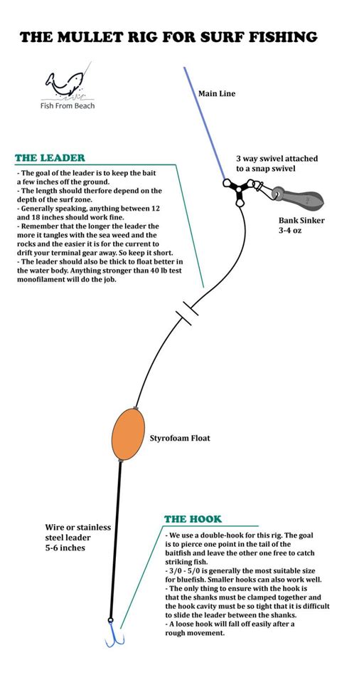 How To Set The Mullet Rig For Surf Fishing Fish From Beach