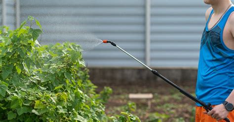 Pest Control Tips For New Homeowners EnviroSpray