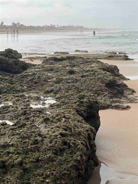 Cadiz spain beaches: The ultimate guide of where to go swimming