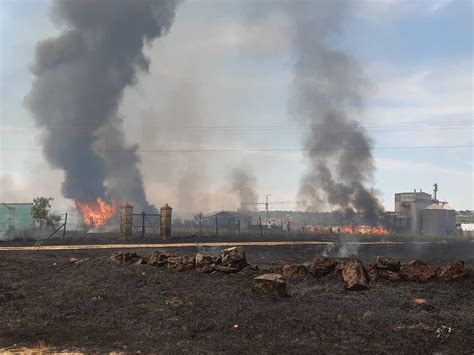 Aparatoso incendio de pastos en varias parcelas de la Portá Blanca Hoy