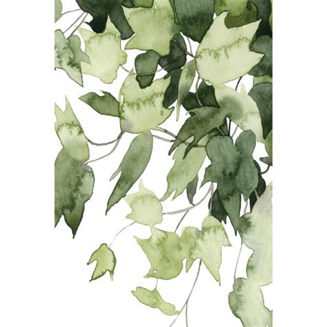 Rosalind Wheeler Kunstdruck Emerald Vines Ii Von Grace Popp Wayfair De