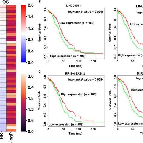 Differential Profiling Analyses Of Lncrnas Expression In Ovarian Cancer