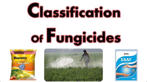 Fungicides Classification Based On Mode Of Action Systemic And