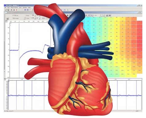 General Cardiac Applications | www.multichannelsystems.com