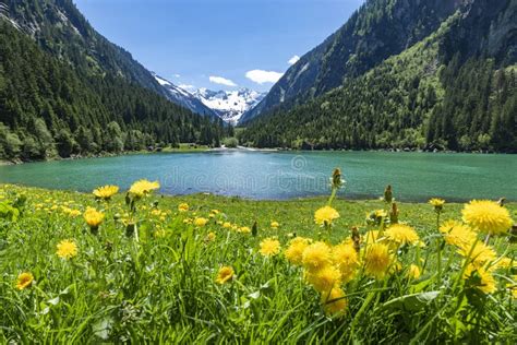 Krajobraz Kontynentu Wyspy Kwiatowej Na Zboczu Jeziora Lub Landschaft