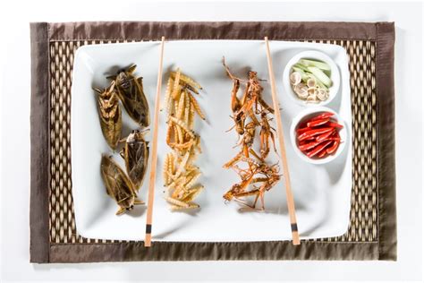 10 Reasons To Introduce Edible Insects Into Your Diet