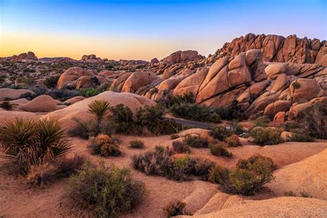 Fun Facts About Californias Deserts